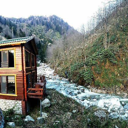 Ayder Elizan Hotel Çamlıhemşin Extérieur photo