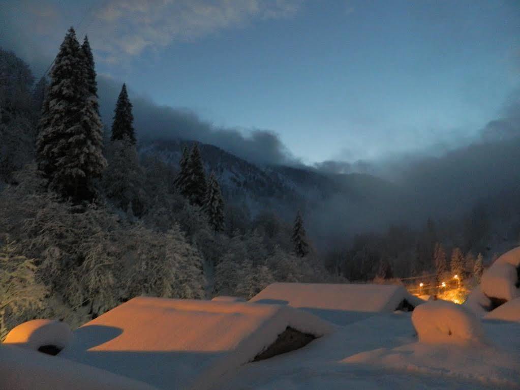 Ayder Elizan Hotel Çamlıhemşin Extérieur photo