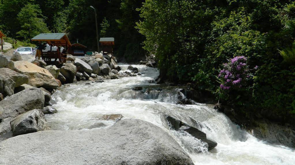 Ayder Elizan Hotel Çamlıhemşin Extérieur photo