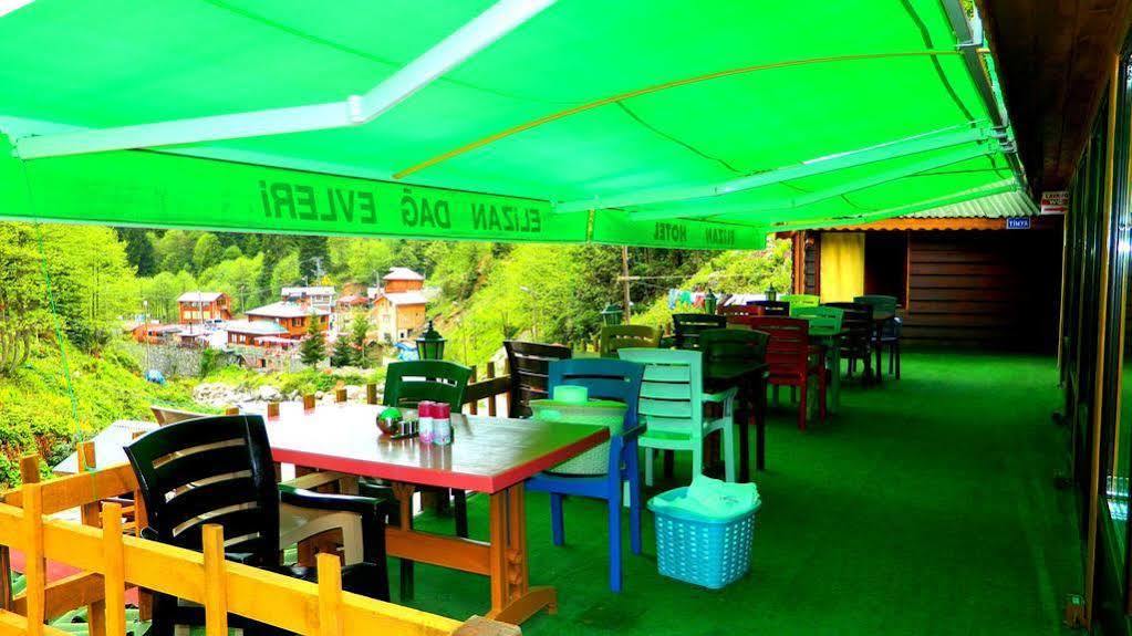 Ayder Elizan Hotel Çamlıhemşin Extérieur photo