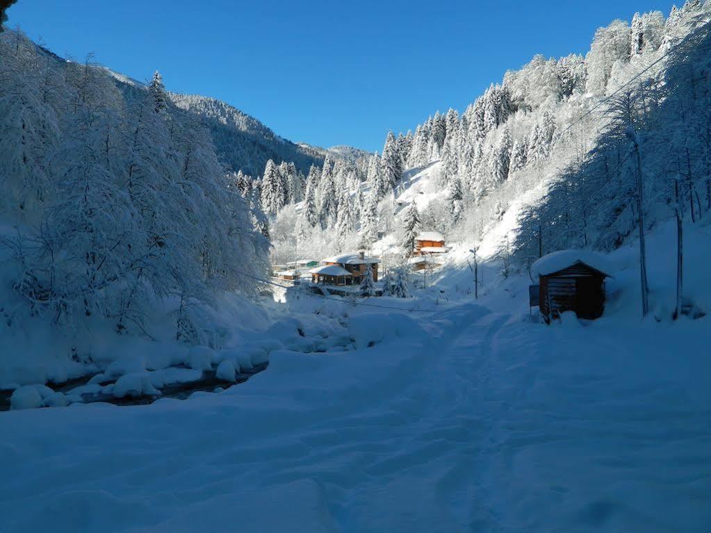 Ayder Elizan Hotel Çamlıhemşin Extérieur photo
